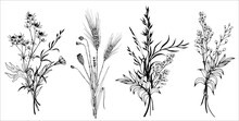 Set Of Wildflowers Bouquets. Hand Drawn Black And White Vector Illustration.