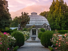 Christchurch, New Zealand - Sep 11, 2022: Cuningham, Townend And Garrick House, The Beautiful Rose Garden With Sunset At Botanic Gardens Conservatory.