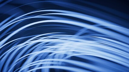 Poster - Flowing curves with glowing neon lines, 3d rendering.