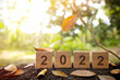 Goodbye year 2022 and autumn or fall season concept. Wooden blocks in natural background with yellow leaf at sunset.