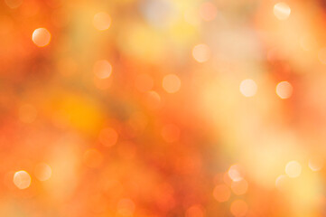 Wall Mural - autumn blurred background, bokeh