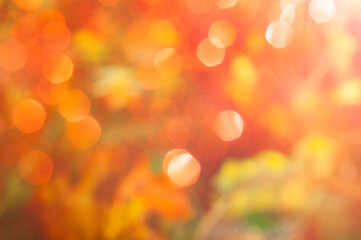 Wall Mural - autumn blurred background, bokeh
