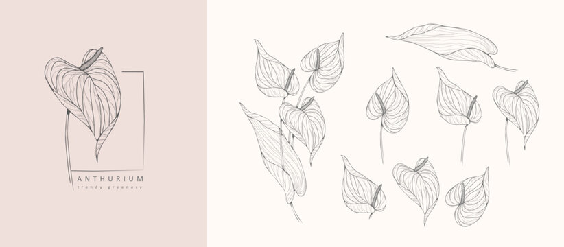 set of luxury flowers and logo. trendy botanical elements. hand drawn line leaves branches and bloom