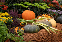 Harvested Vegetables On Burlap Covered Farm Market Display, Autumn Agricultural Fair