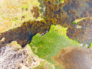 Wall Mural - Pearses Beach Aerial in Australia