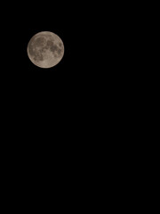 Wall Mural - Full Moon.