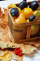 Wall Mural - autumn background with apples, pears, plums and pyracantha