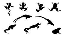 Frog Silhouette