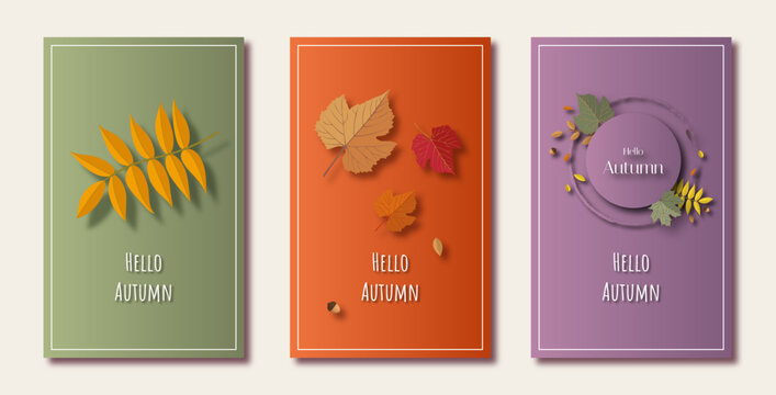 Set of elegant Autumn web banner. Vector illustration template with colorful leaves, for sale advertising. Autumn leaves background with space for text. Vector computer graphics, postcards.
