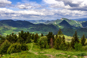 Fototapeta drzewa dolina słowacja trawa