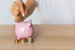 © Nana_studio - Close-up of a woman's hands putting a euro coin in a piggy bank, saving money in a crisis and inflation