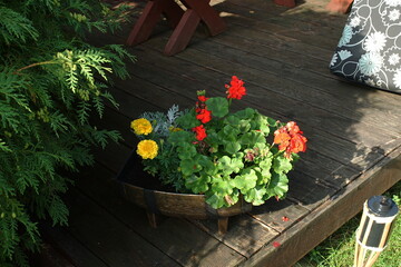 Wall Mural - Flowers in a pot on the terrace of a country house