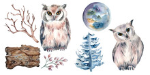 Set Of Owls And Forest Plants Watercolor Illustration Isolated On White.