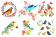 collection of cute birds with plant twigs. perching on floral wr