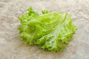 Fresh green salad lettuce leaves