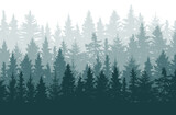 Fototapeta Kwiaty - Forest background, beautiful landscape wallpaper. Silhouettes of fir trees. Vector illustration