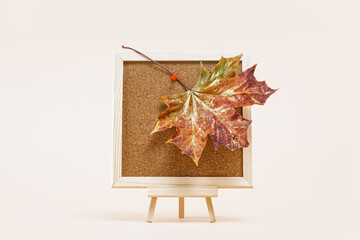 Wall Mural - red maple leaf on Cork notice board. Fall autumn minimal background. Copy space golden foliage seasonal backdrop. Announcement. Back to school, hhappy thanksgiving or hello autumn