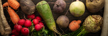 Root Vegetables On A Wooden Background, Different Types Of Radish With Beetroot And Parsley And Carrots, Organic Farm Vegetables Banner