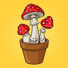 Fly Agaric Amanita Mushrooms In Flower Pot Pop Art Retro Vector Illustration. Comic Book Style Imitation.