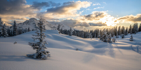 Canvas Print - Verschneite Winterlandschaft im Abendlicht