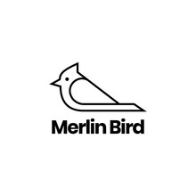 Merlin Bird Minimal Logo Design