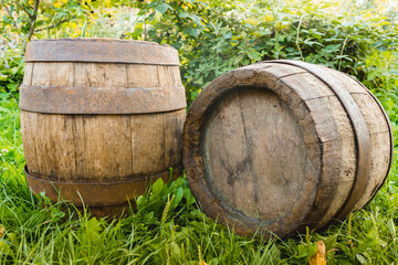 Two old wood barrel bear outdoor on grass