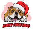 Merry Christmas Bulldog Cartoon Dog. Vector Illustration Of Purebred Christmas Bulldog Dog. vector cartoon illustration