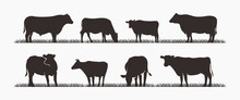 Silhouette Cow Livestock Collection. Perfect For Design Elements. Vector Illustration