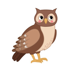 Sticker - Vector  illustration of cartoon cute owl isolated on white background.