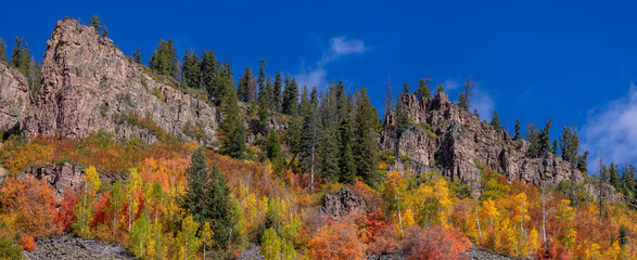 Canvas Print - Uinta Wasatch Cache National Forest, Utah