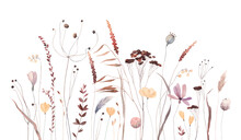 Autumn Meadow. Cute Watercolor Flowers Horizontal Border Isolated On White Background. Illustration For Card, Border, Banner Or Your Other Design. 