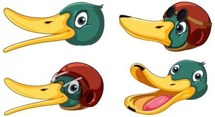 Wall Mural - Set of different faces of wild ducks cartoon