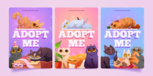 Adopt Me Posters With Cute Homeless Cats In Pet Shelter. Funny Fluffy Kittens Lying On Pillow, Sitting In Cardboard Box, Entangled In Yarn, Vector Cartoon Illustrations For Animal Adoption Banners