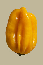 Close Up Yellow Habanero Pepper On Beige Background
