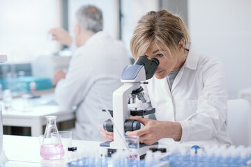 Wall Mural - medical researcher working in the lab
