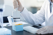 Scientist Pipetting Samples In Laboratory