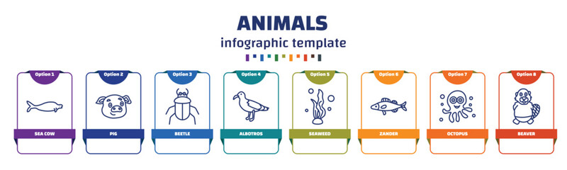 infographic template with icons and 8 options or steps. infographic for animals concept. included sea cow, pig, beetle, albotros, seaweed, zander, octopus, beaver icons.