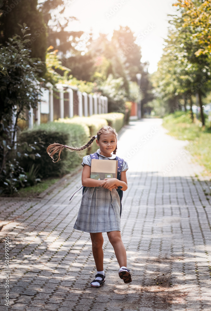 Back to school. A cute little schoolgirl in a dress with pigtails and ...