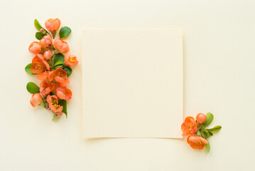 Sticker - Beautiful flower arrangement. Bright orange flowers, free space for text on a light pastel background. Wedding, birthday. Valentine's day, mother's day. Top view, copy space