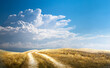 canvas print picture - Panorama of autumn field with dirt road and cloudy sky. Autumn rural landscape