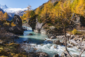 Wall Mural - Mountain stream in a ravine at autumn