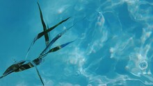 Palm Leaves Float In Clear Blue Water. Summer Background With Space For Logo Or Text. 4k Slow Motion Video.