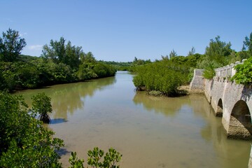 Wall Mural - Shimajiri Irie Bridge and a calm river with mangrove forests