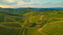 AERIAL: Beautiful Cultivated Wine Region With Vineyards And Speckled Farm Houses
