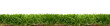 Fresh short green grass isolated against a flat background