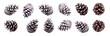 A collection of small pinecones with snow and frost on them for Christmas tree decoration isolated against a transparent background.