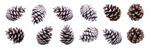A Collection Of Small Pinecones With Snow And Frost On Them For Christmas Tree Decoration Isolated Against A Transparent Background.