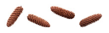 A Collection Of Large, Long Open Pinecones For Christmas Tree Decoration Isolated Against A Flat Background.