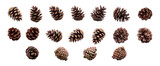 Fototapeta  - A collection of small pinecones for Christmas tree decoration isolated against a transparent background.