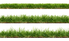 A Collection Of Real Grass Borders, Short, Medium And Long Grass Edges Isolated On A Transparent Background.
